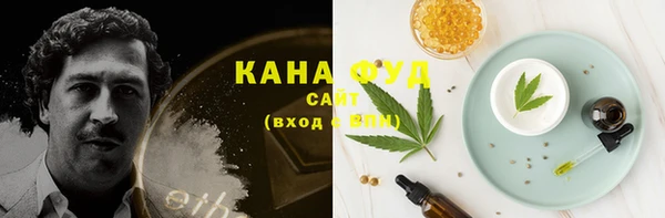 винт Лабытнанги