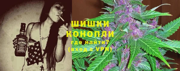 винт Лабытнанги