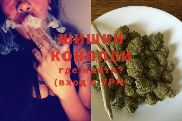 индика Лагань