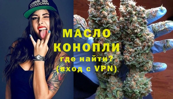 винт Лабытнанги