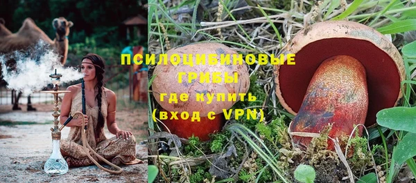 винт Лабытнанги