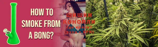 индика Лагань