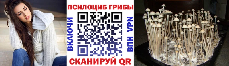 Галлюциногенные грибы мухоморы  Купить закладки  Ялуторовск 